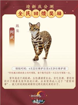 天龙八部传说荣誉私服